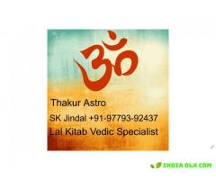 Childless problem solutions astrologer+91-9779392437
